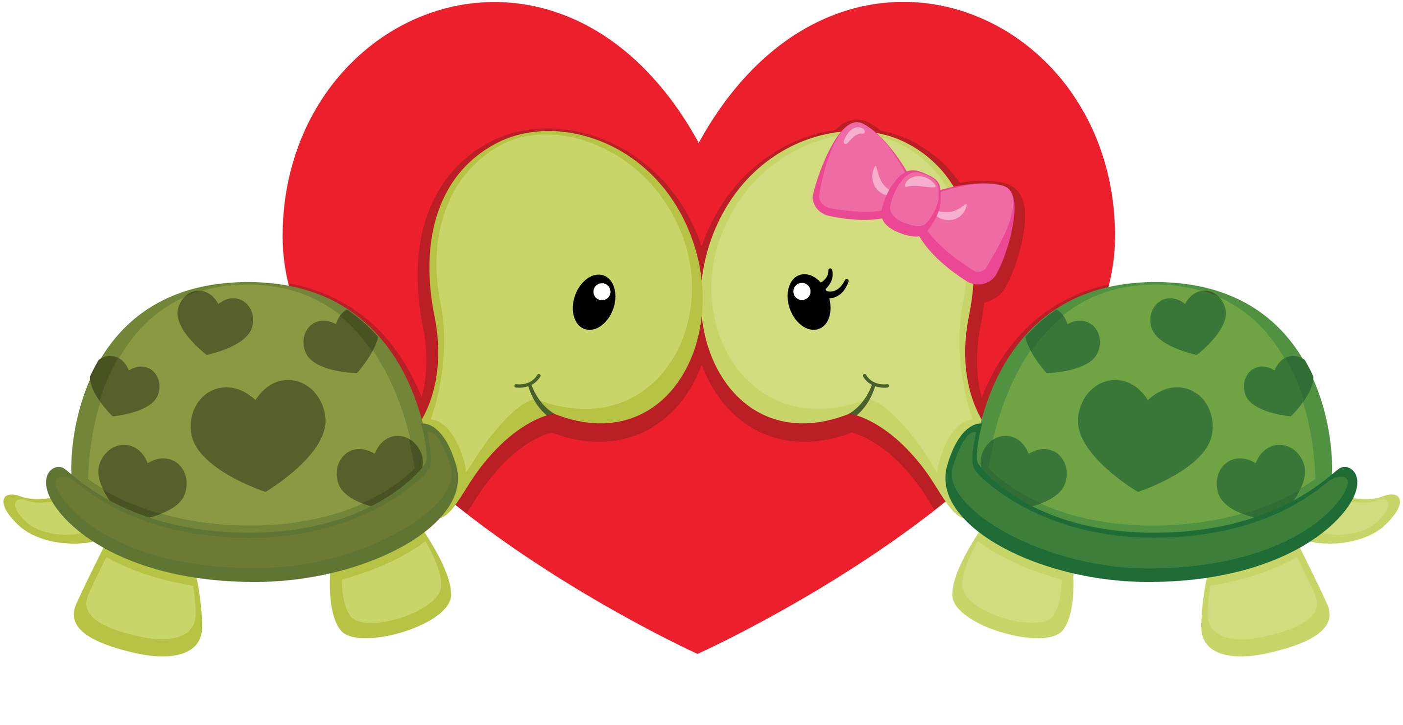 Tartarugas Em Formato De Coração Amor Png Grátis Para Baixar