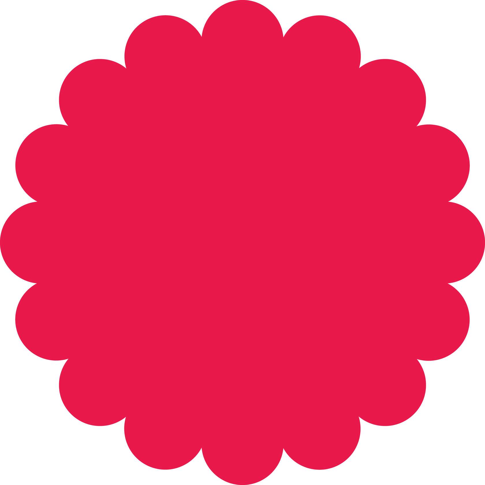 Roseta Vermelha Decorativa Design Png Grátis Para Baixar