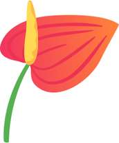Elemento Flores Png Transparente (2)