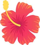 Elemento Flor Hibiscus Png