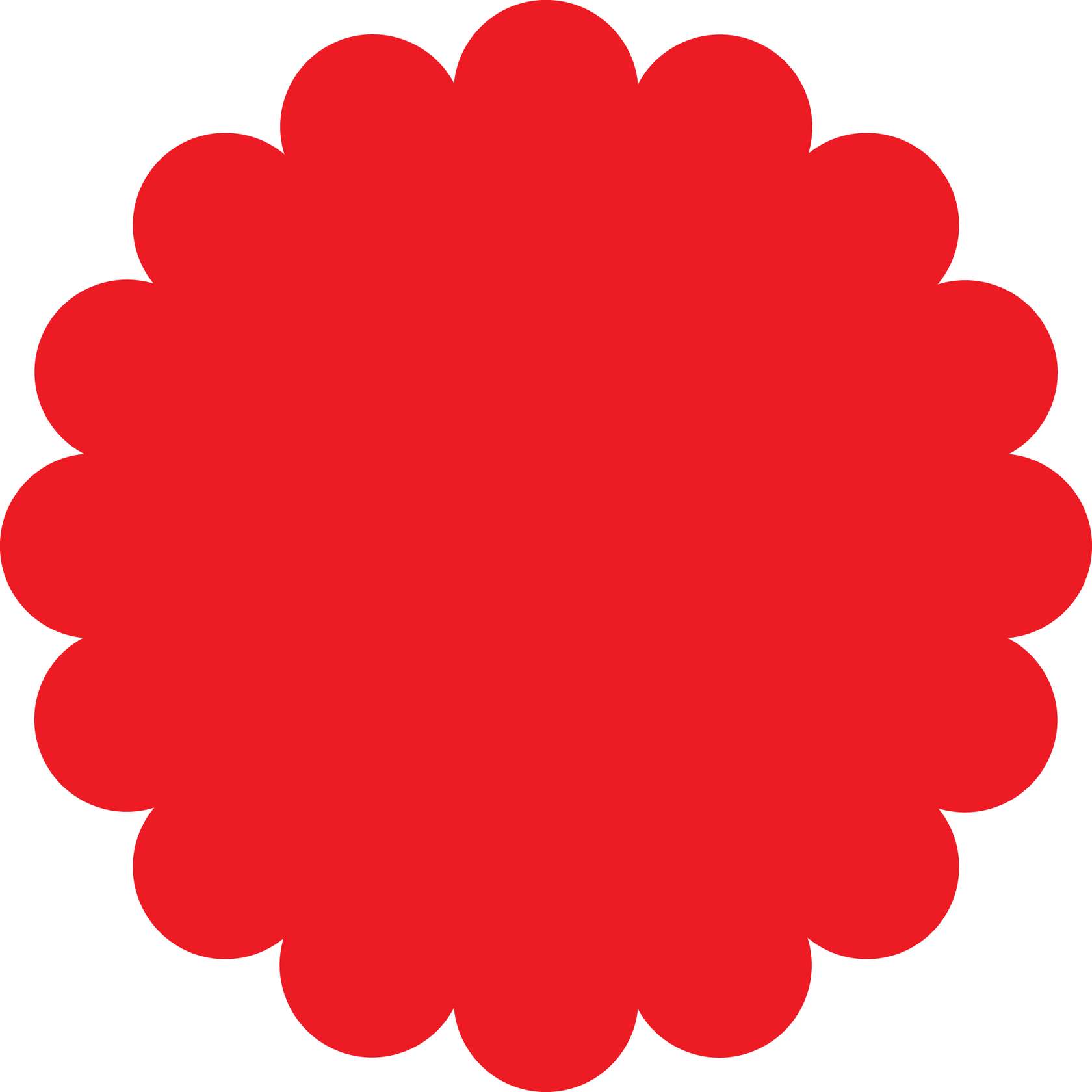 Roseta Vermelha Decorativa Flores Png Grátis Para Baixar