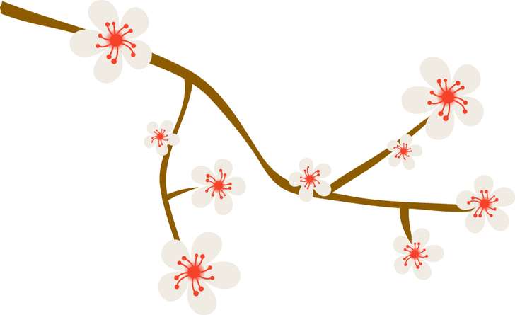 Galho Com Flores De Cerejeira Flores Png Grátis Para Baixar