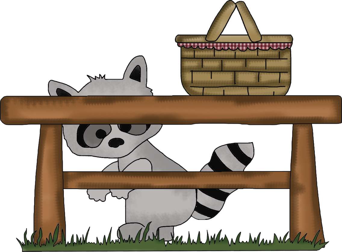 Elemento Guaxinim Fofo Cute Png (4)