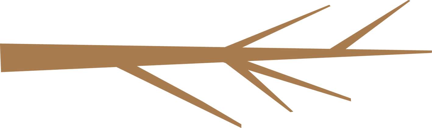 Cruzamento De Linhas Marrons Arte Abstrata Png Grátis Para Baixar