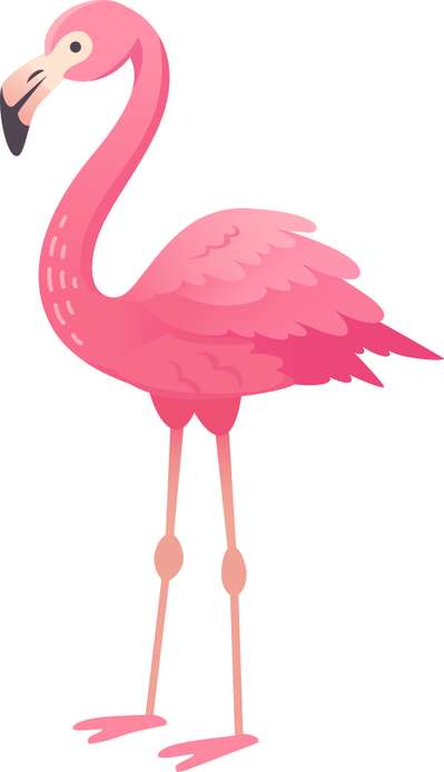 Elemento Flamingo Rosa Png (9)