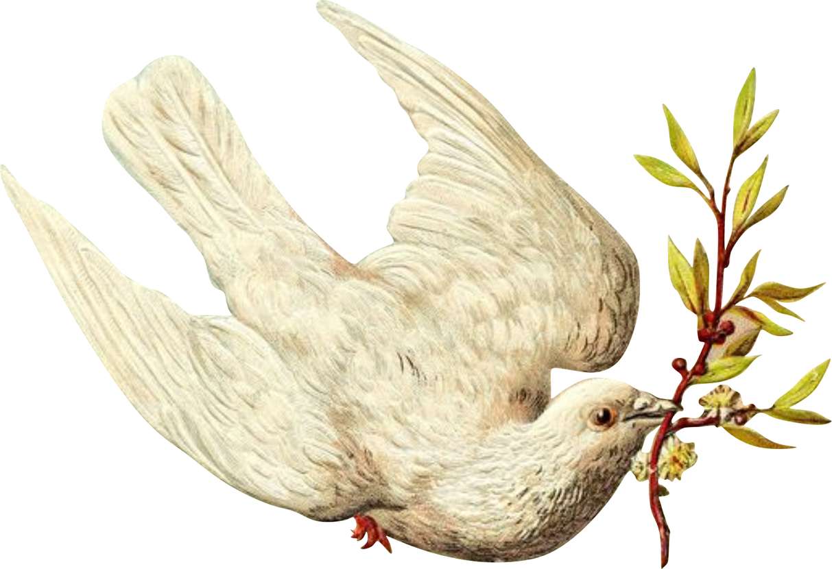 Pombo 2