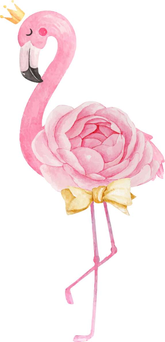 Elemento Flamingo Rosa Png (3)