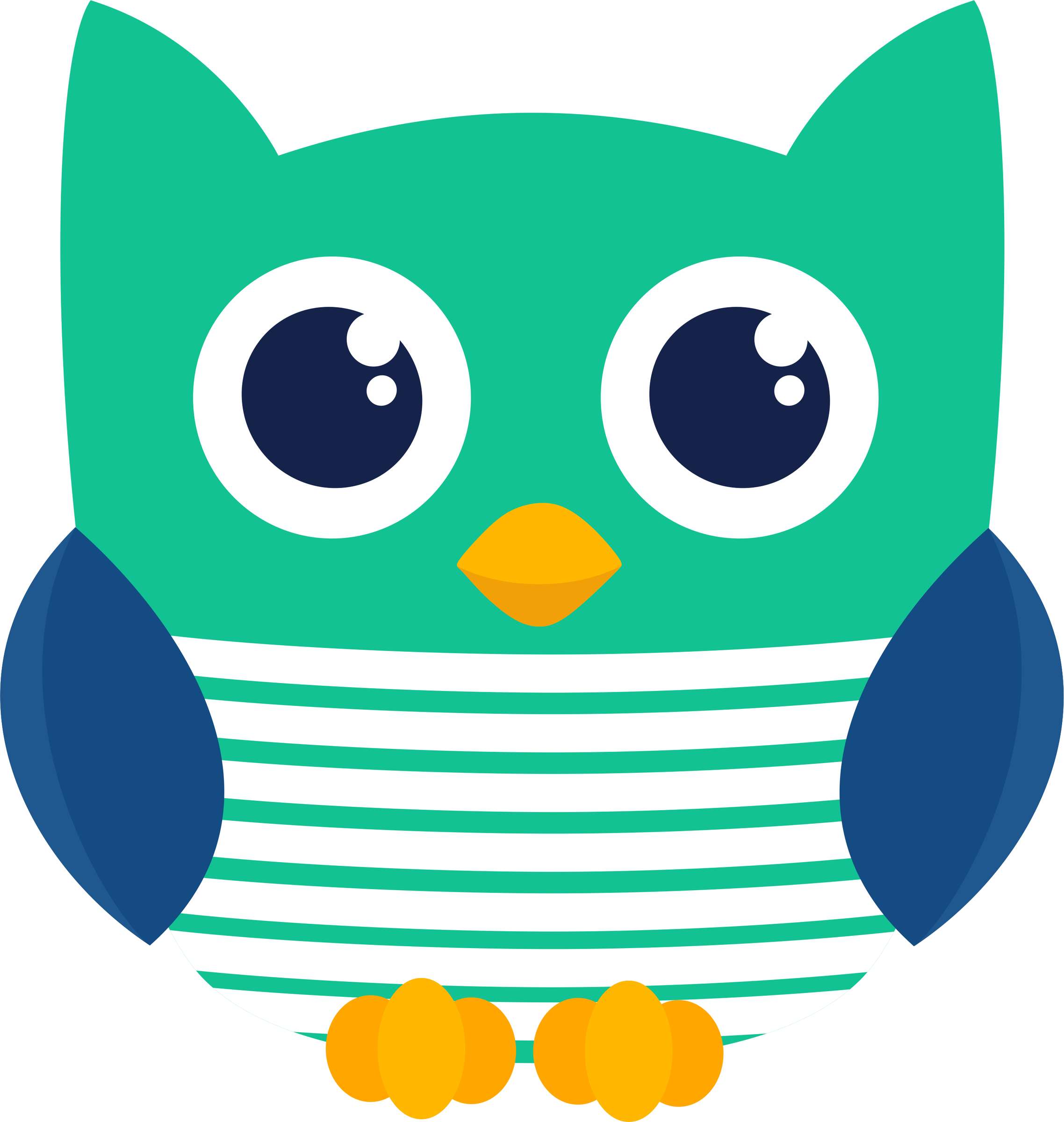 Elemento Coruja Png (84)