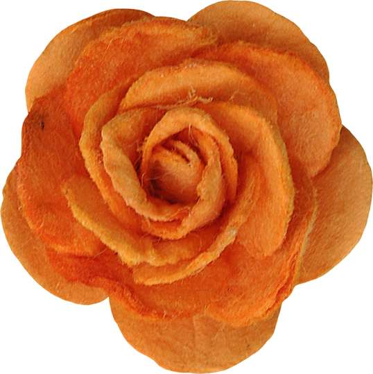 Elemento Flores Png (3)