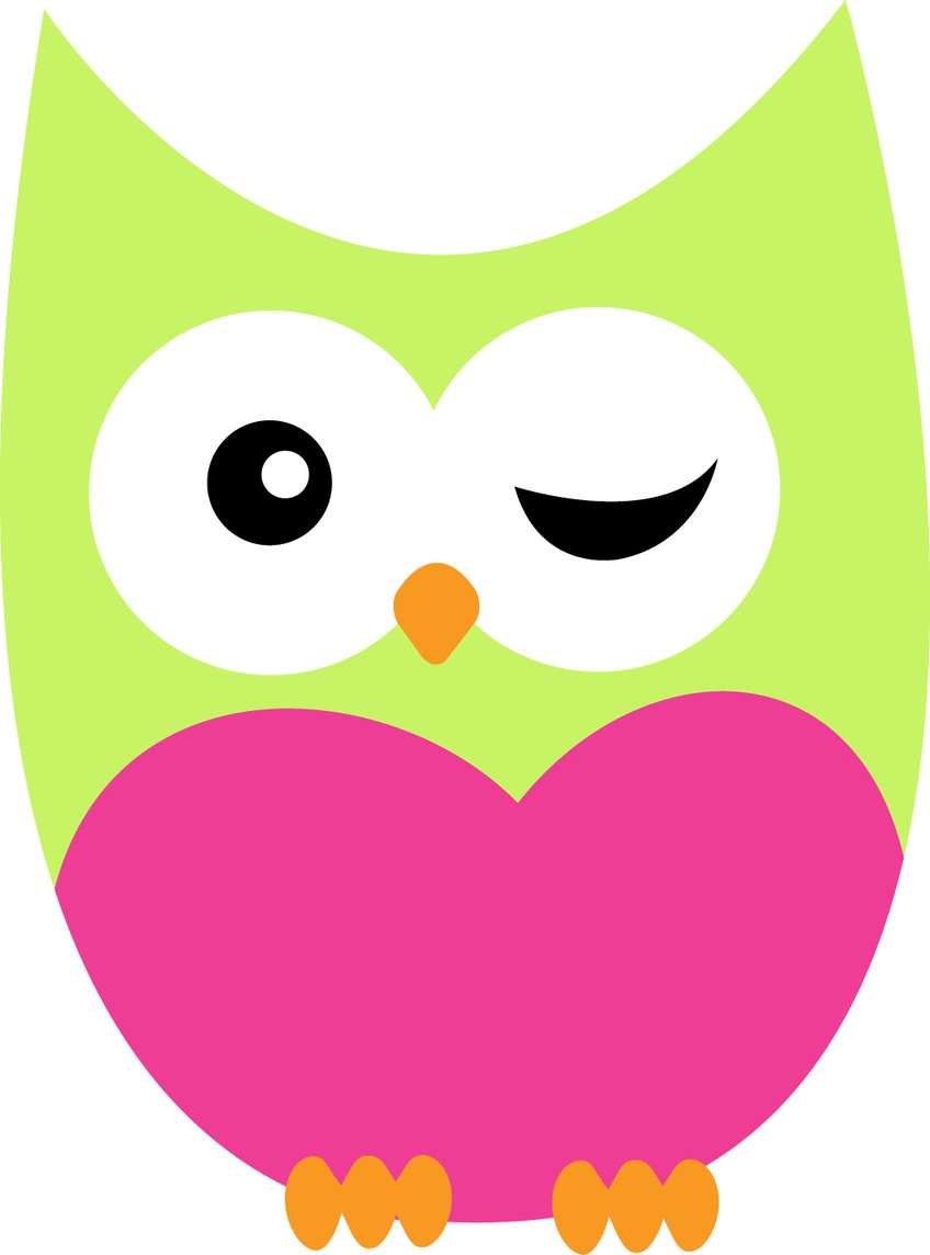 Elemento Coruja Png (45)