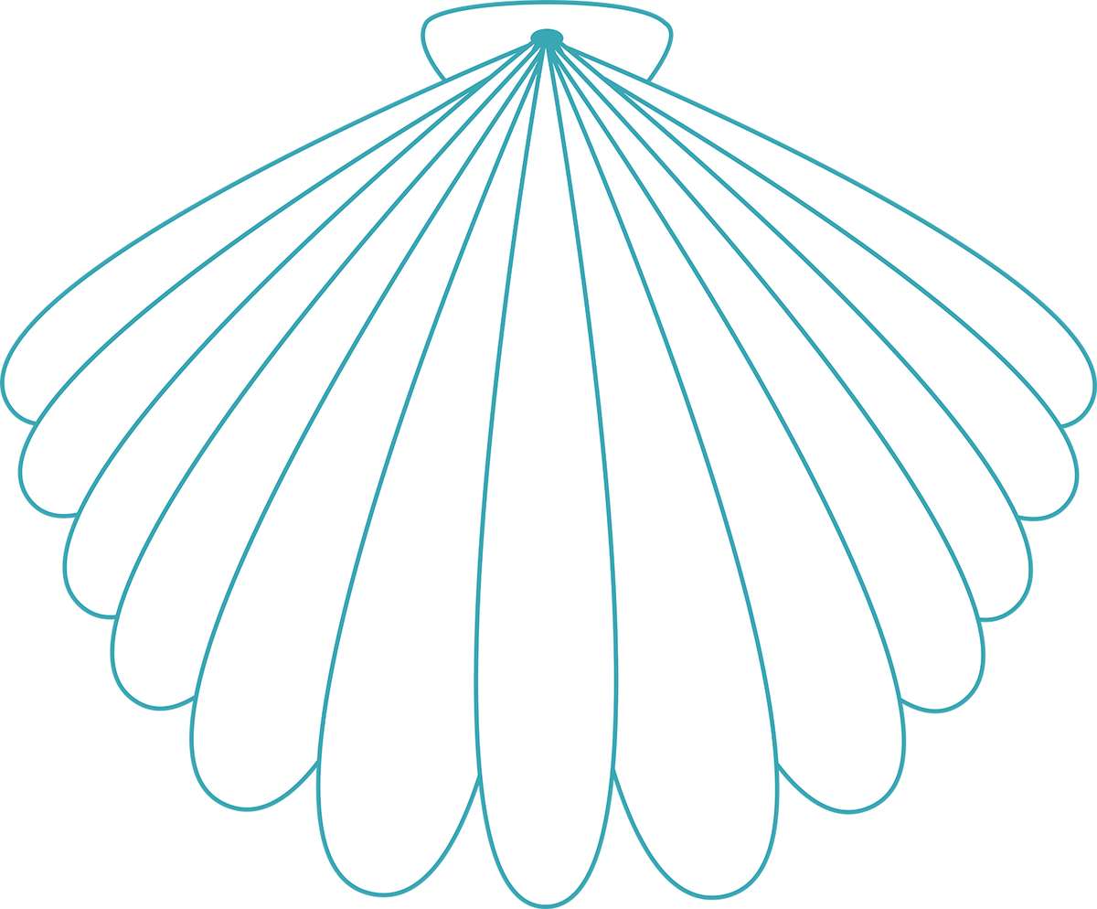 Concha De Vieira Decorativa Mar Png Grátis Para Baixar