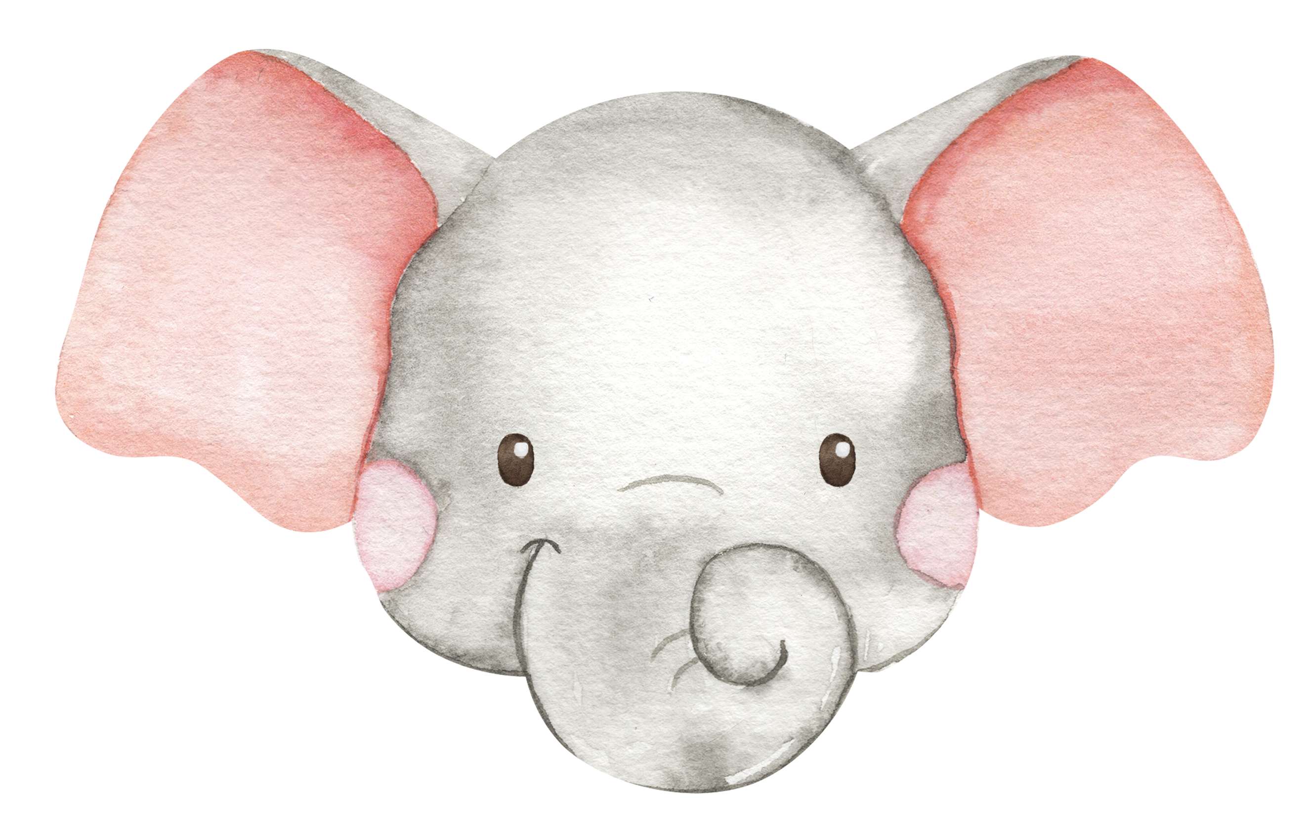 Cabeça De Elefante Fofo Animais Png Grátis Para Baixar