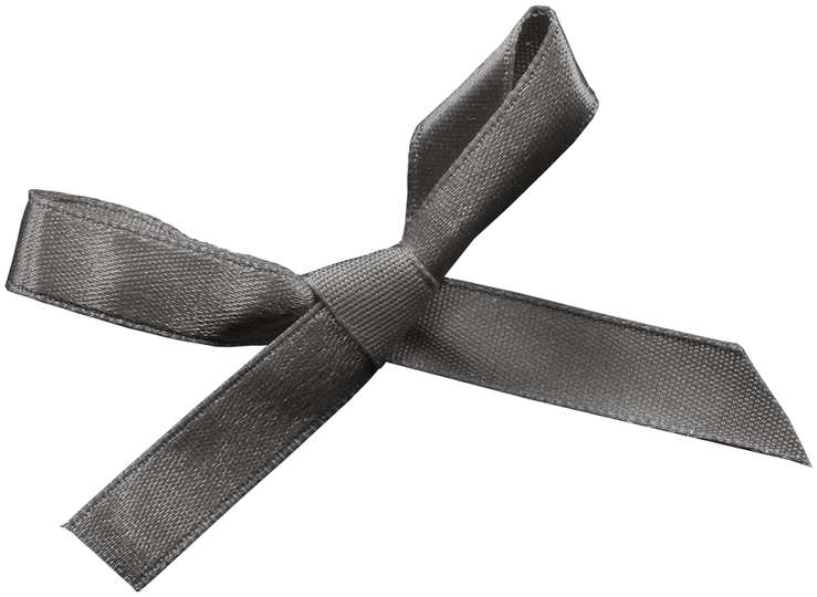 Laço De Fita Decorativo Acessório Png Grátis Para Baixar