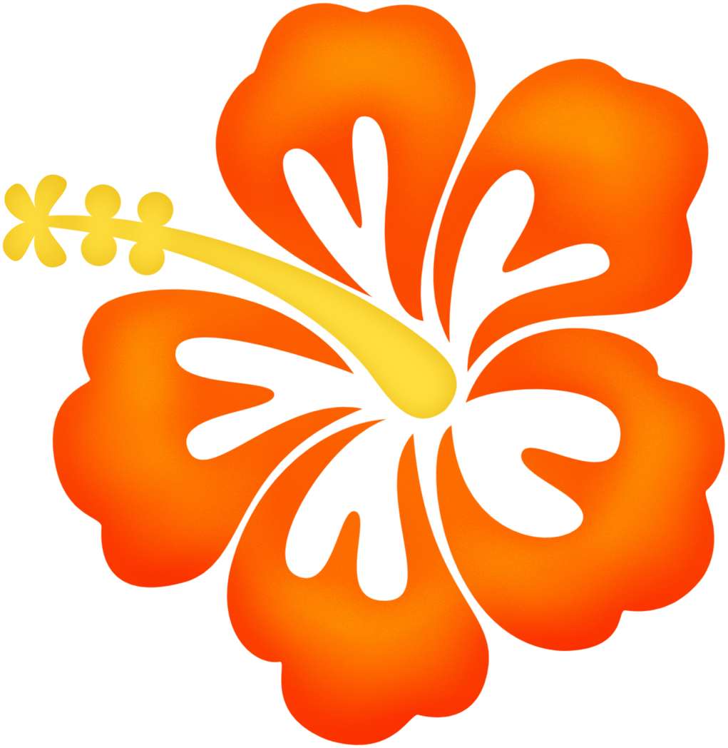 Elemento Flor Hibiscus Png (1)