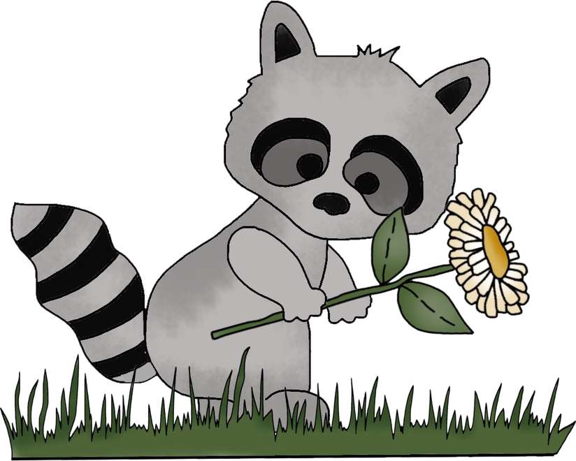 Elemento Guaxinim Fofo Cute Png (1)