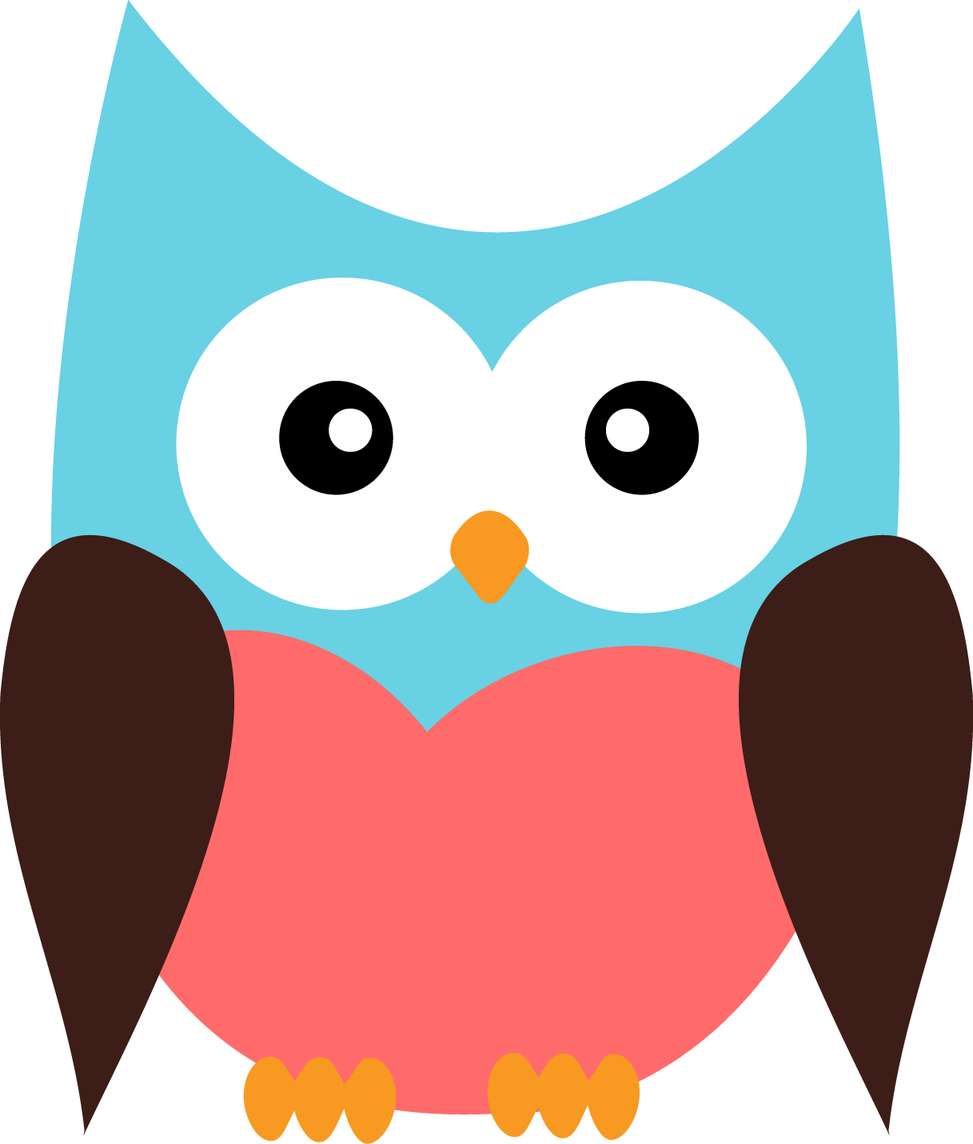 Elemento Coruja Png (46)