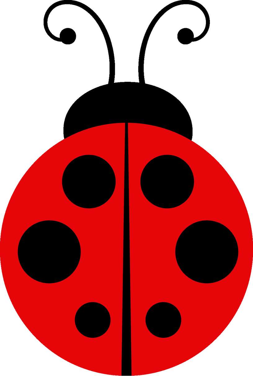 Elemento Joaninha Fofa Cute Png (20)