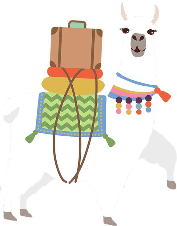 Elemento Lhama Estilosa Cute Fofa Png (1)