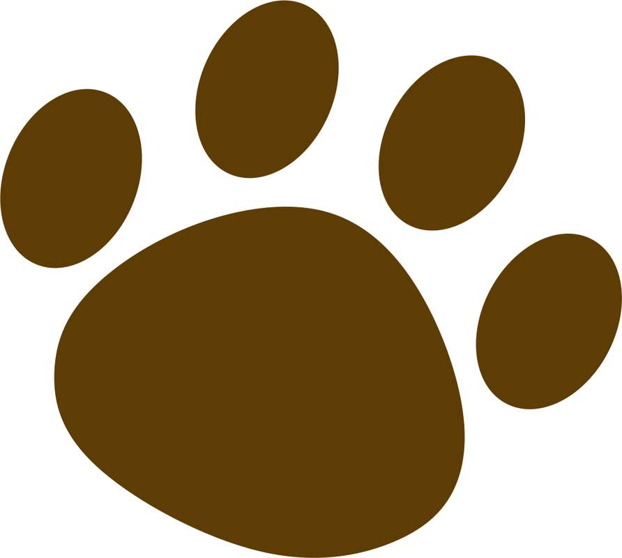 Elemento Patinhas Patas Dog Cachorro Png (1)