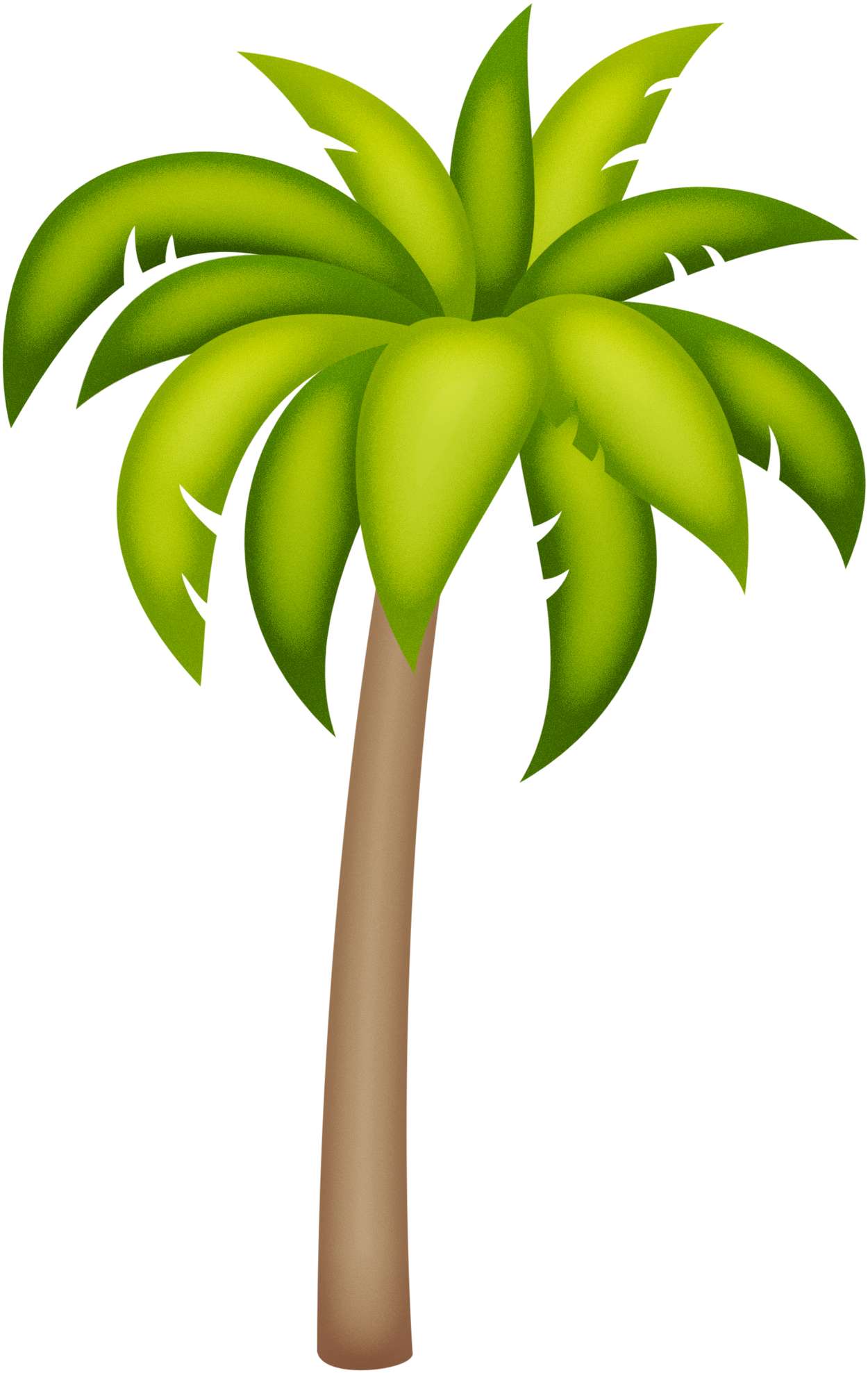 Elemento Coqueiro Png (2)