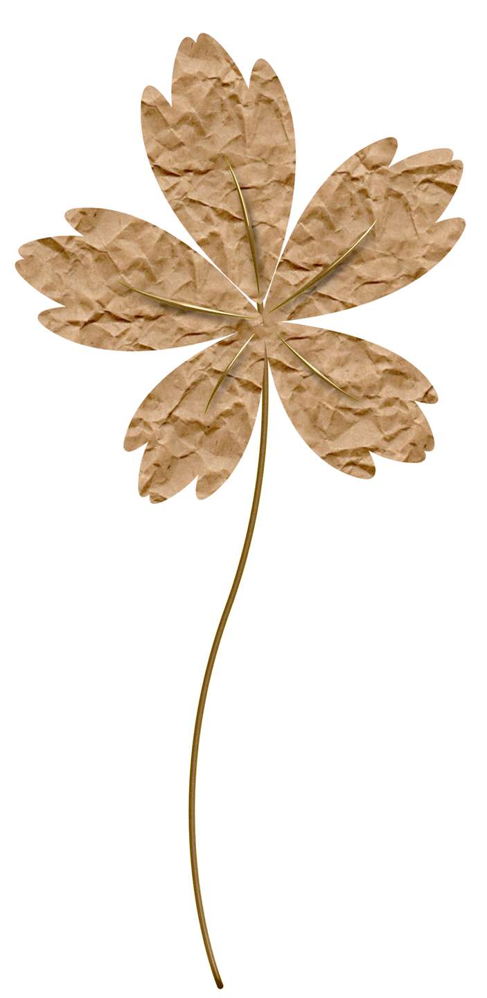 Folhas Texturizadas Estilo Outono Natureza Png Grátis Para Baixar