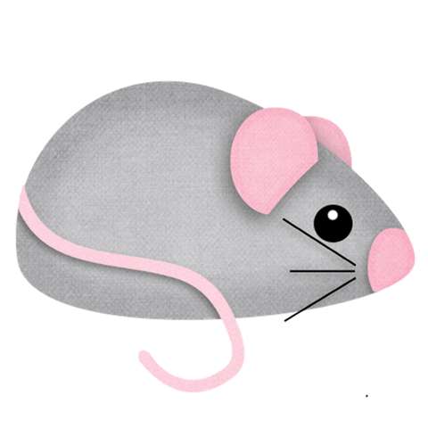 Elementos Gatinhos Gatos Png (9)