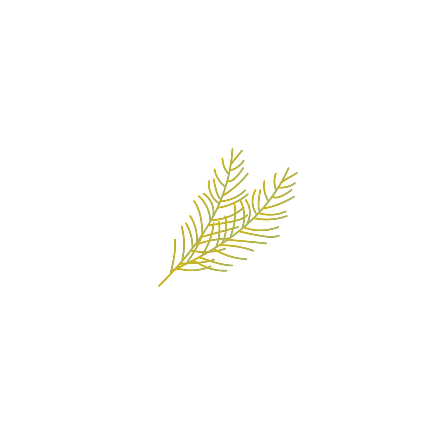 Elemento Ariel Pequena Sereia Png (28)