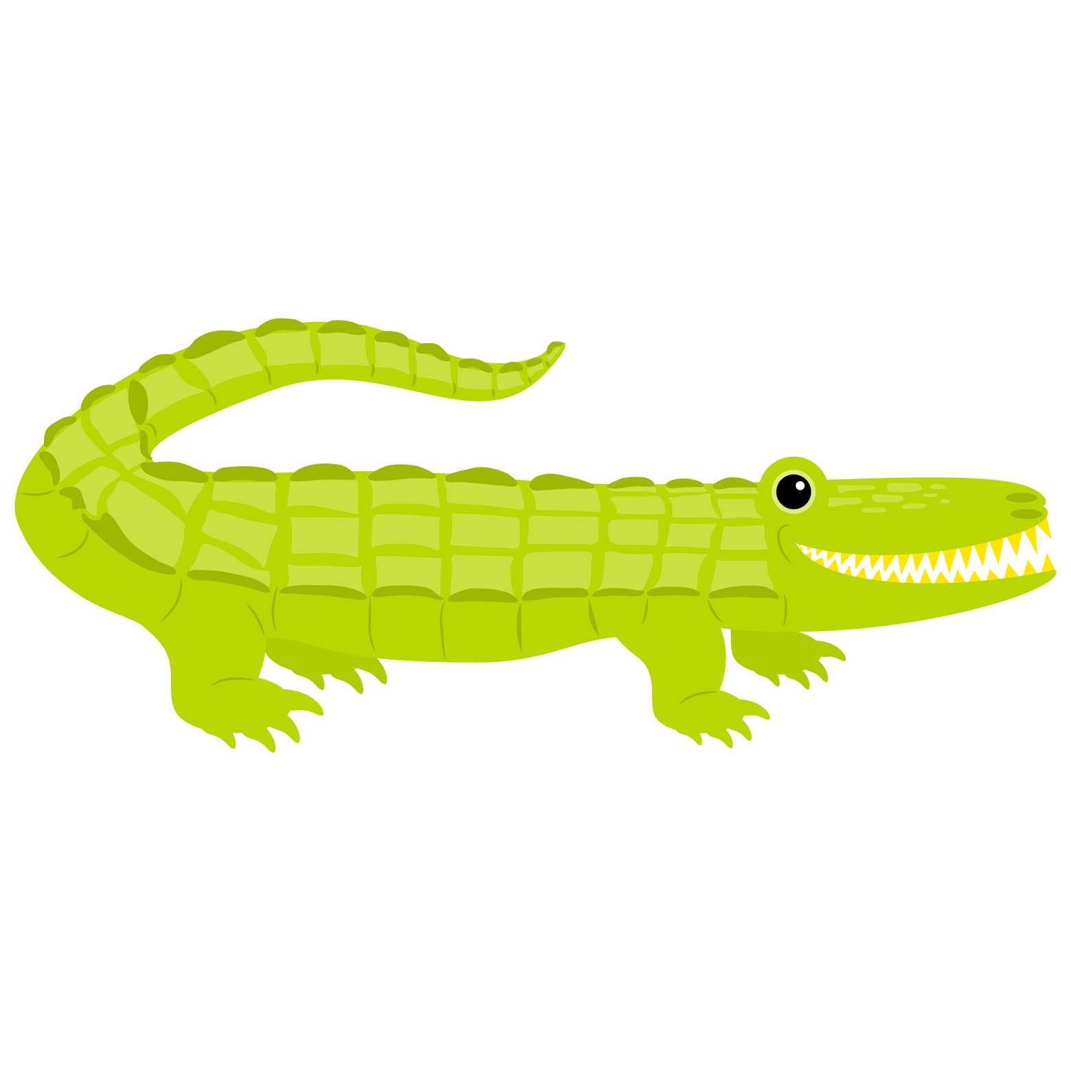 Animais Safari Desenho 2d Png (6)