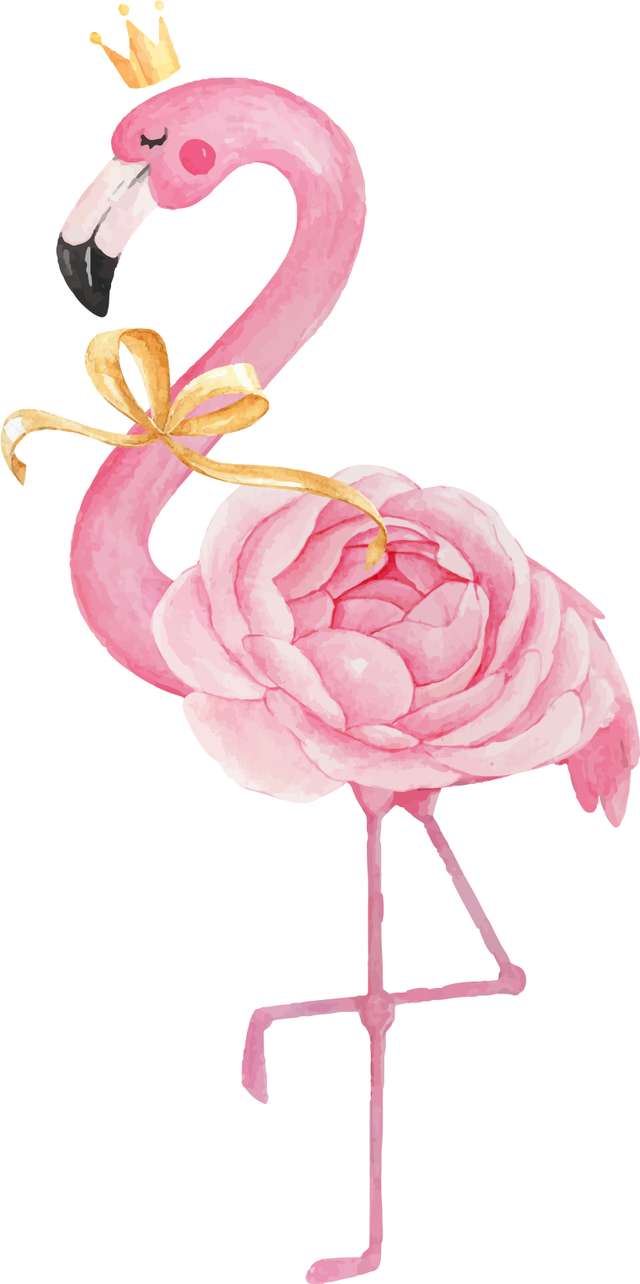 Elemento Flamingo Rosa Png (2)