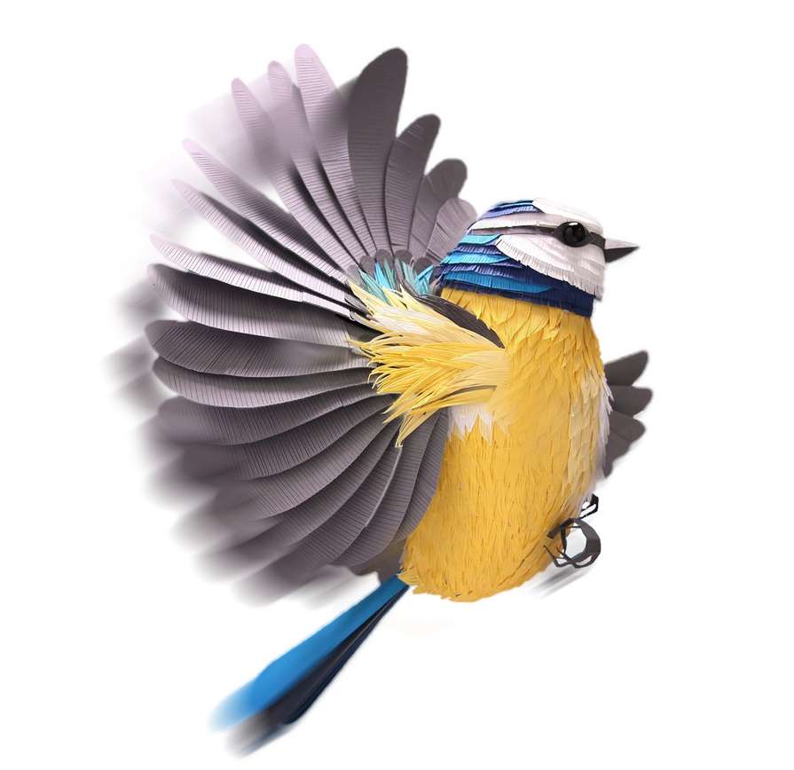 Passaro Voando De Costas