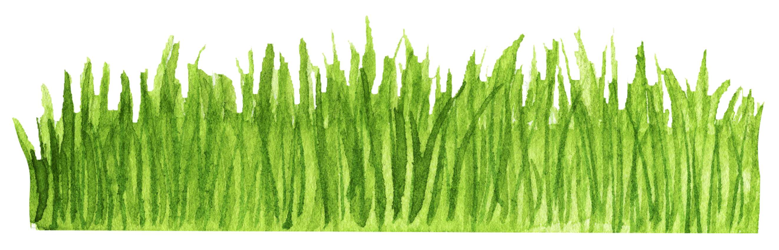 Gramado Exuberante Em Aquarela Natureza Png Grátis Para Baixar