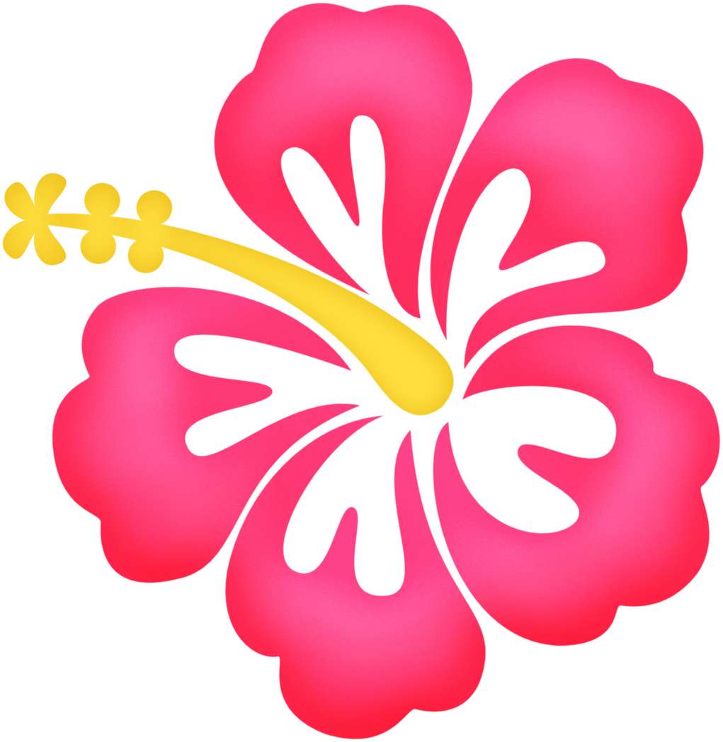 Elemento Flor Hibiscus Png (3)