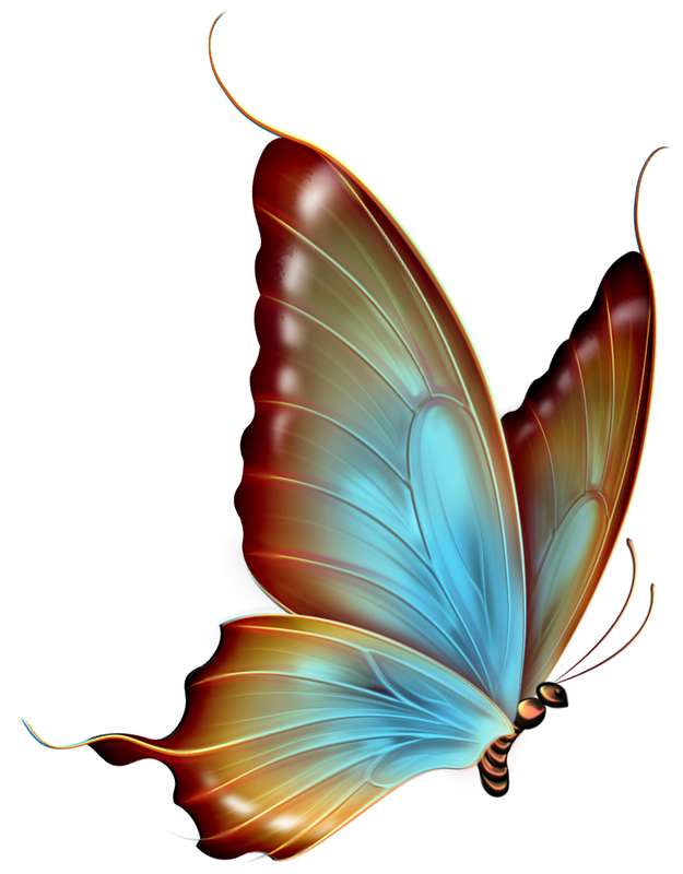 Borboleta 2