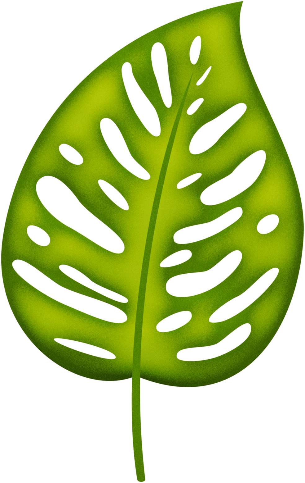 Elemento Folha Costela De Adão Png (3)