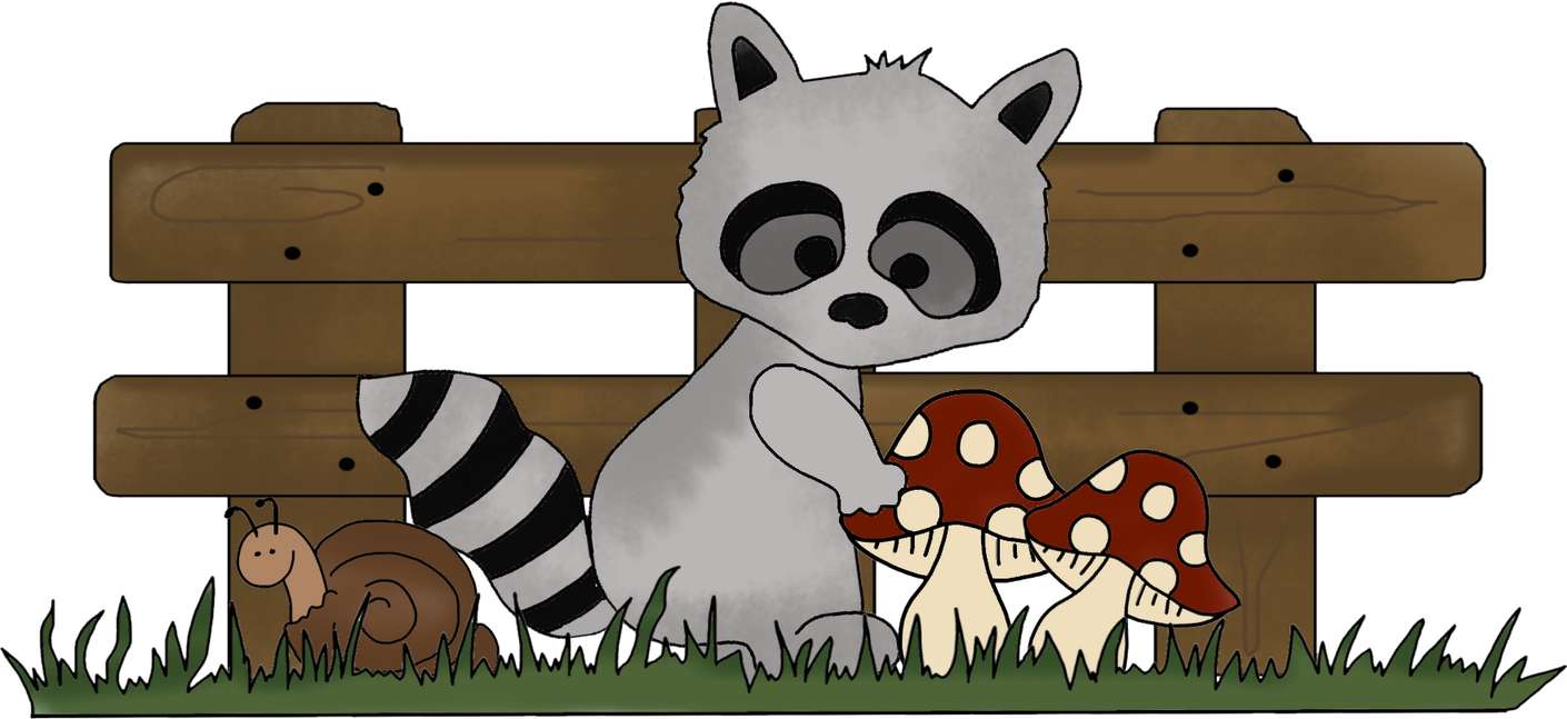 Elemento Guaxinim Fofo Cute Png (5)
