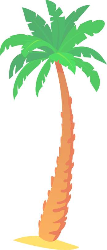 Elemento Coqueiro Png (3)