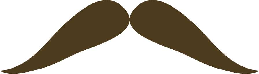 Bigode Masculino Estilizado Beleza Png Grátis Para Baixar