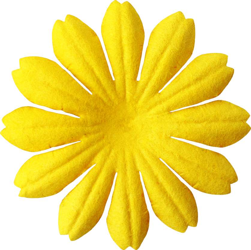 Elemento Flores Png (2)