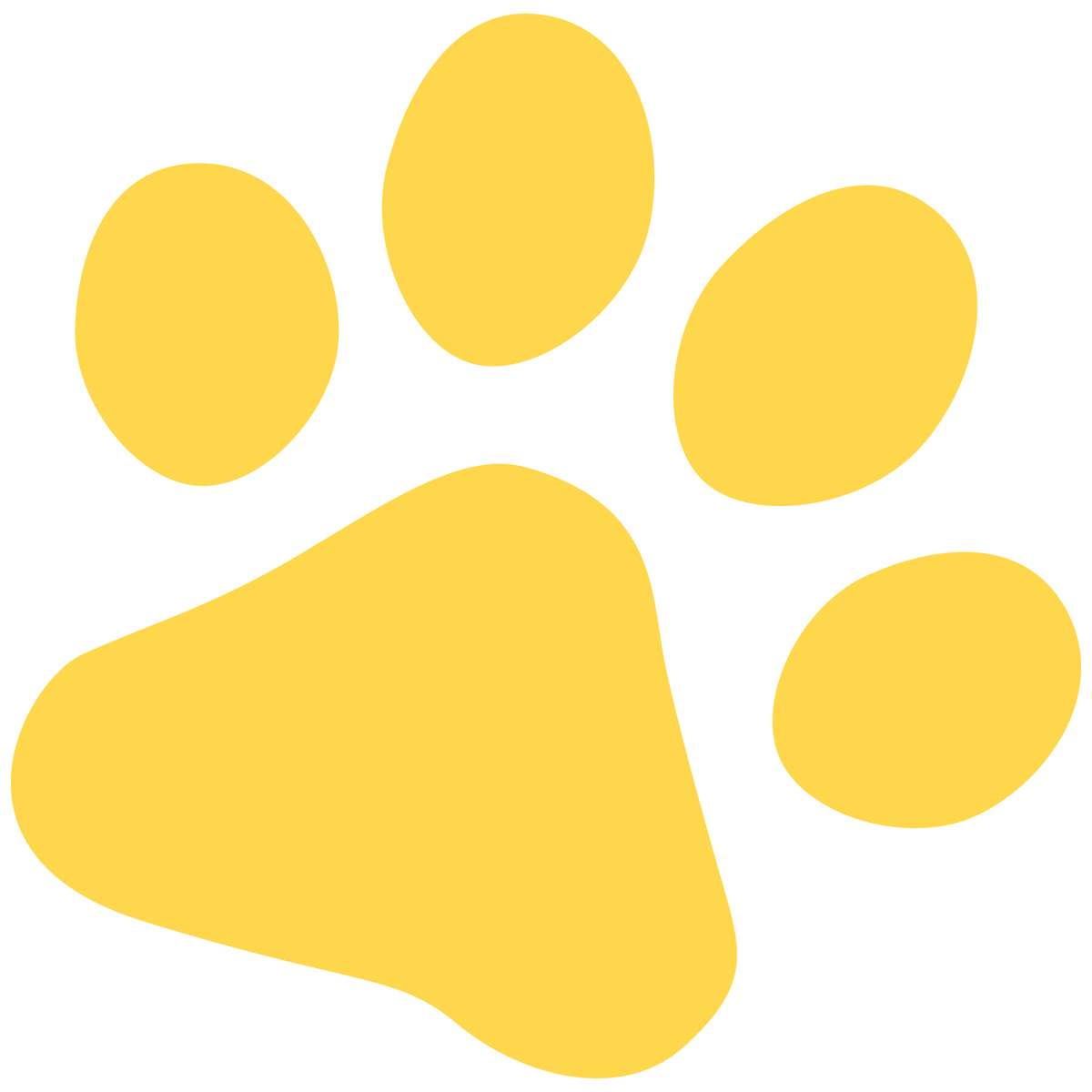 Elementos Gatinhos Gatos Png (27)