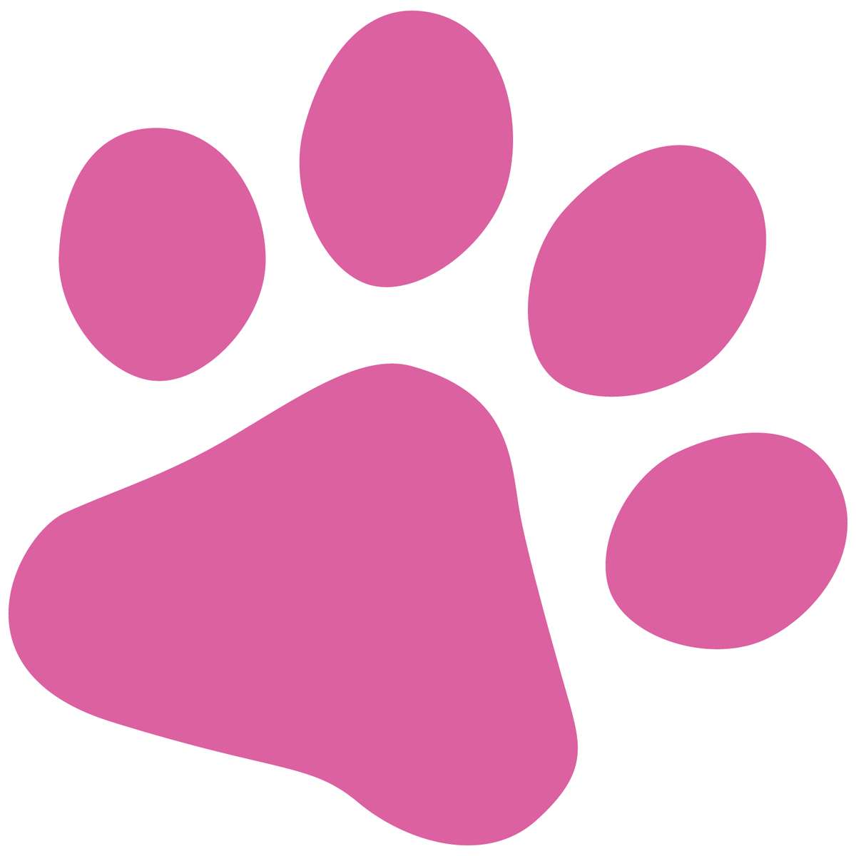 Elementos Gatinhos Gatos Png (22)