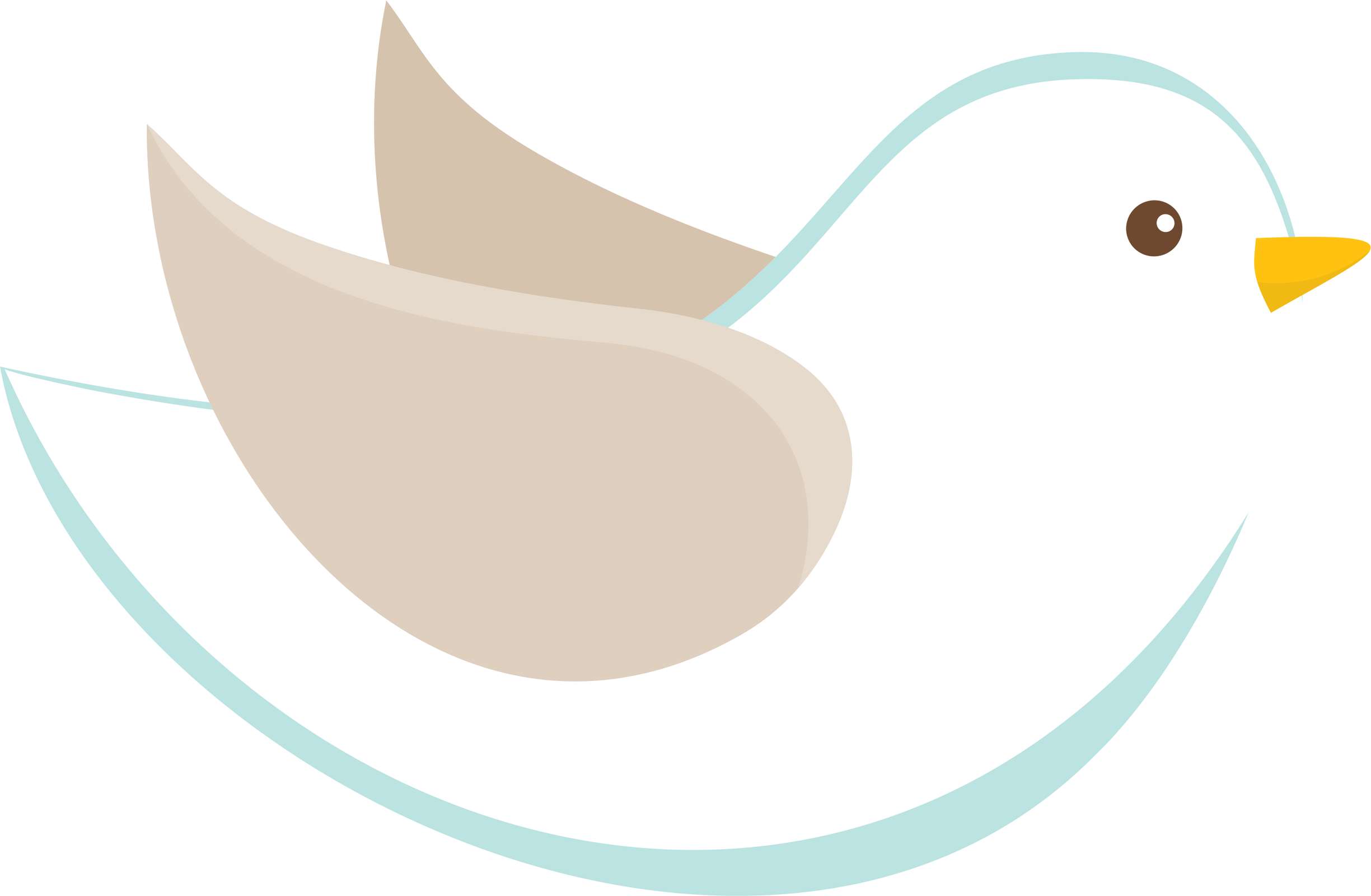 Pássaro Branco Em Desenho Animais Png Grátis Para Baixar