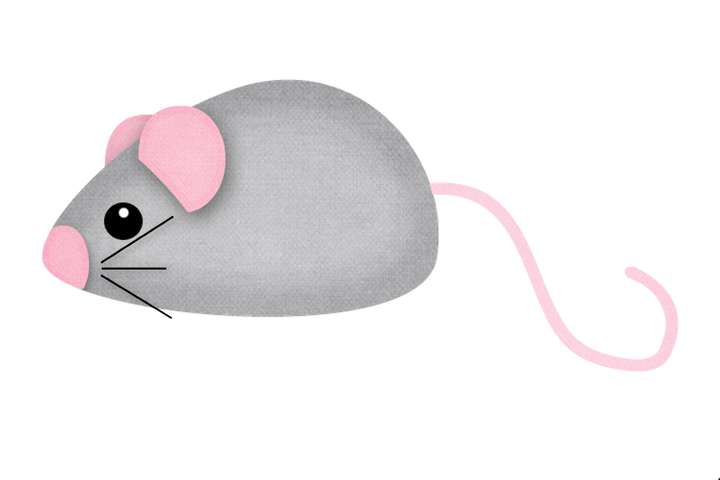 Elementos Gatinhos Gatos Png (8)