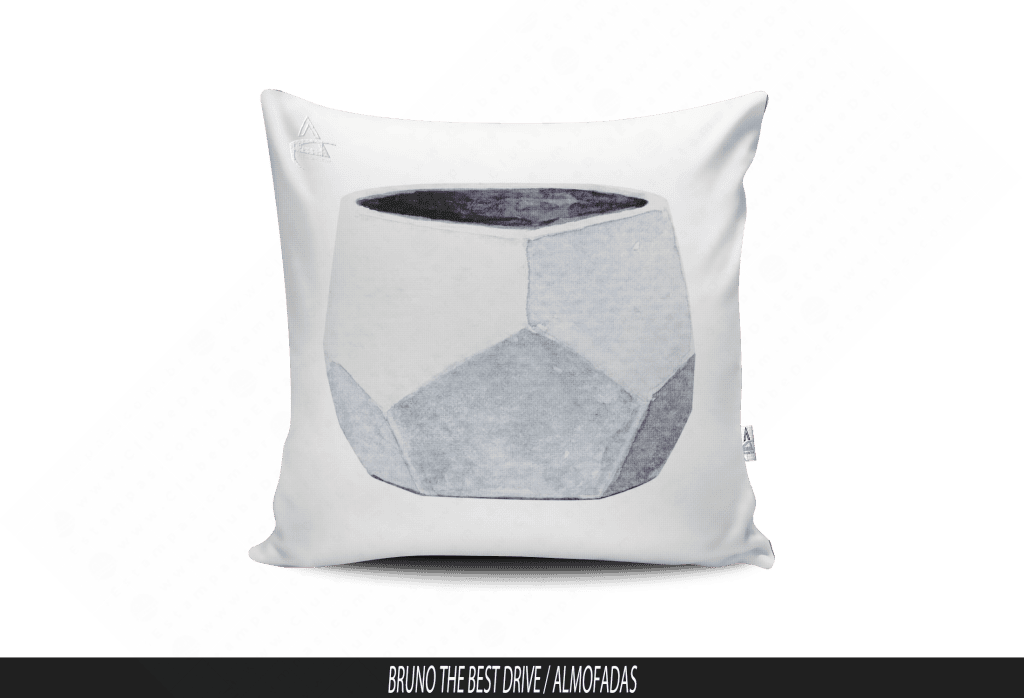 ARTE PARA ALMOFADA - CACTOS-3854