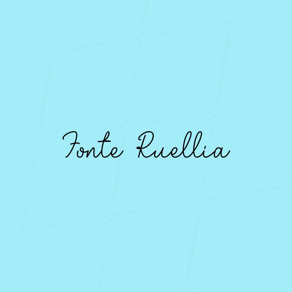 Fonte Ruellia-7905